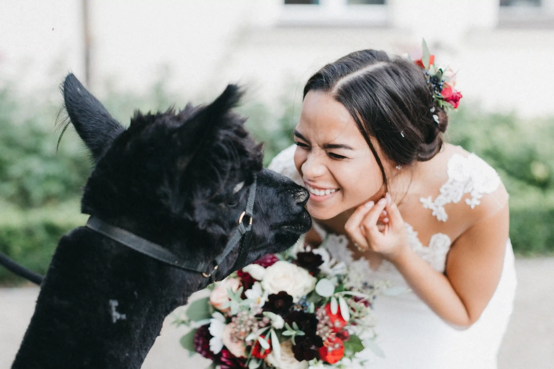 Bride and groom with a dog in the garden