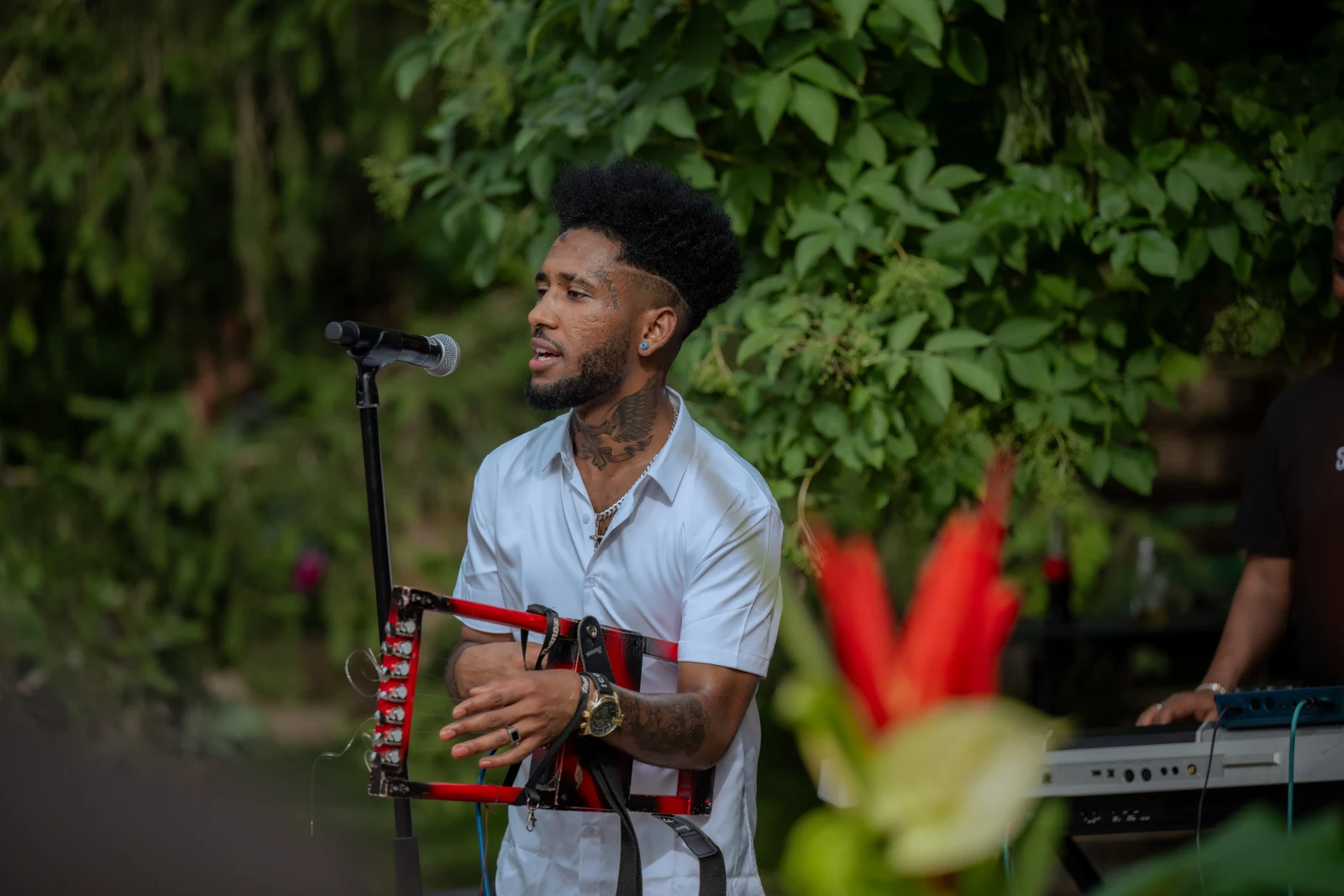 Musician playing an accordion in front of dense greenery