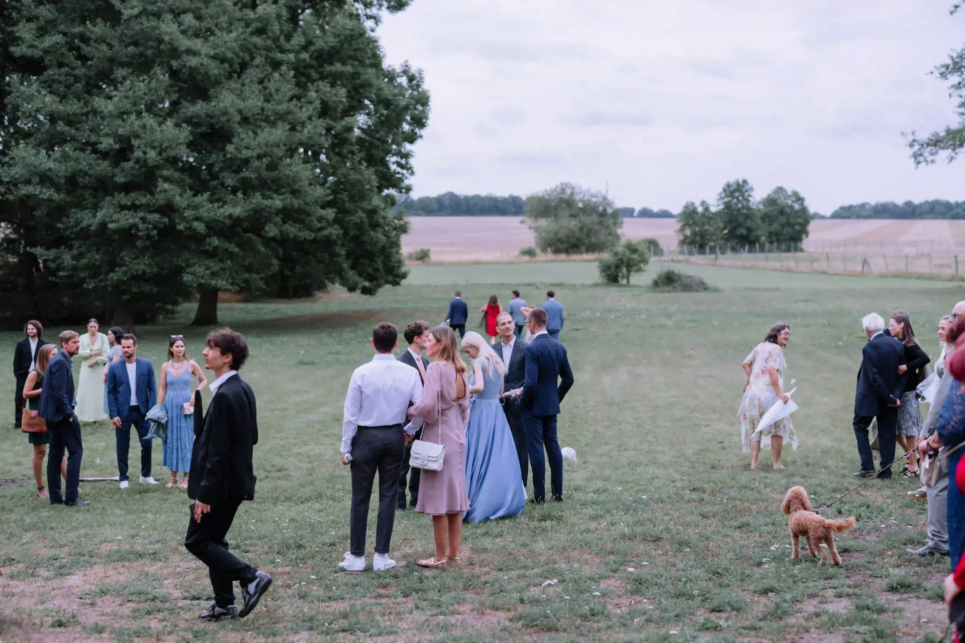 Wedding guests gathered in a meadow