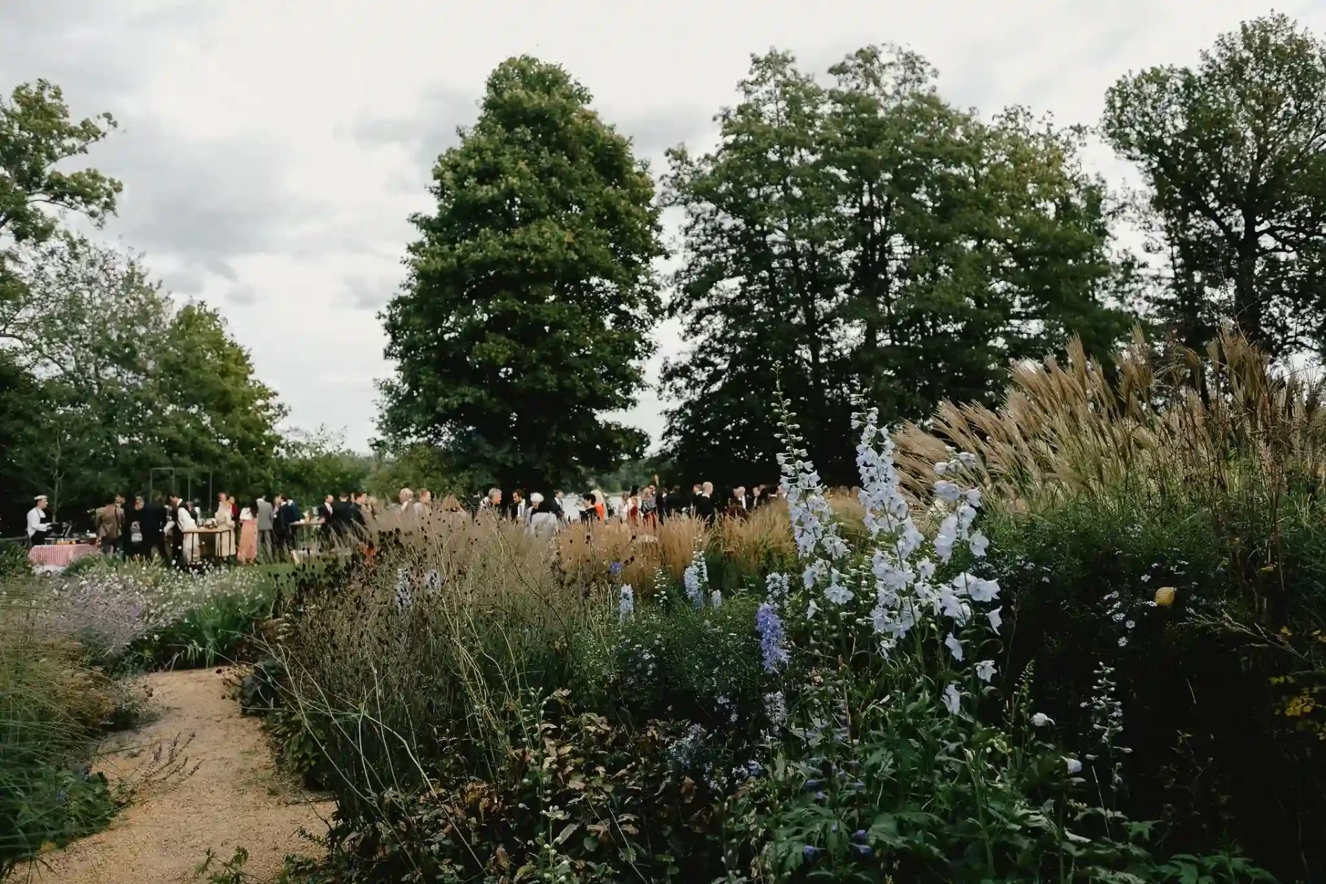 Green garden landscape with trees and lawn