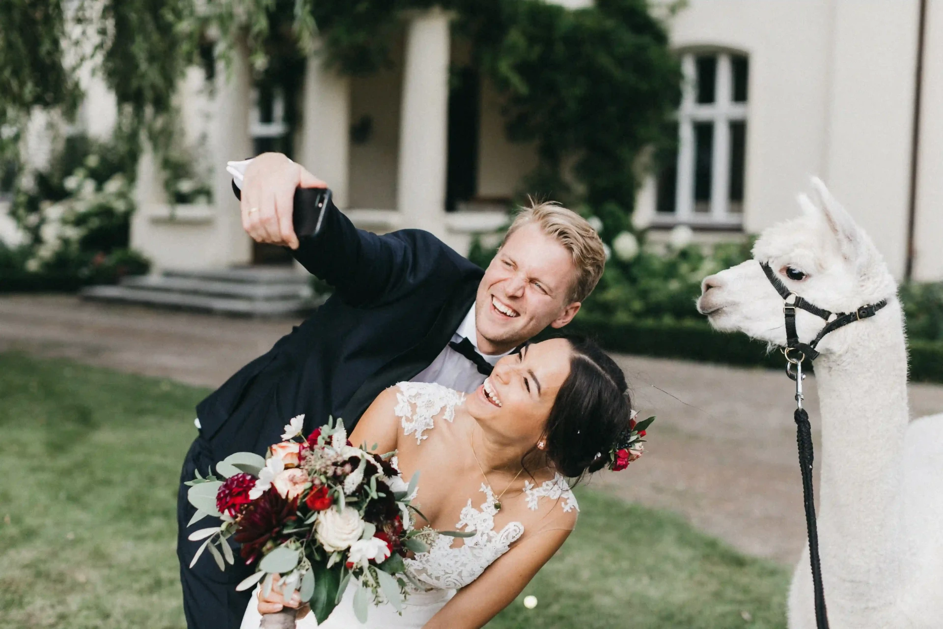 Bride and groom laughing in a meadow with a dog