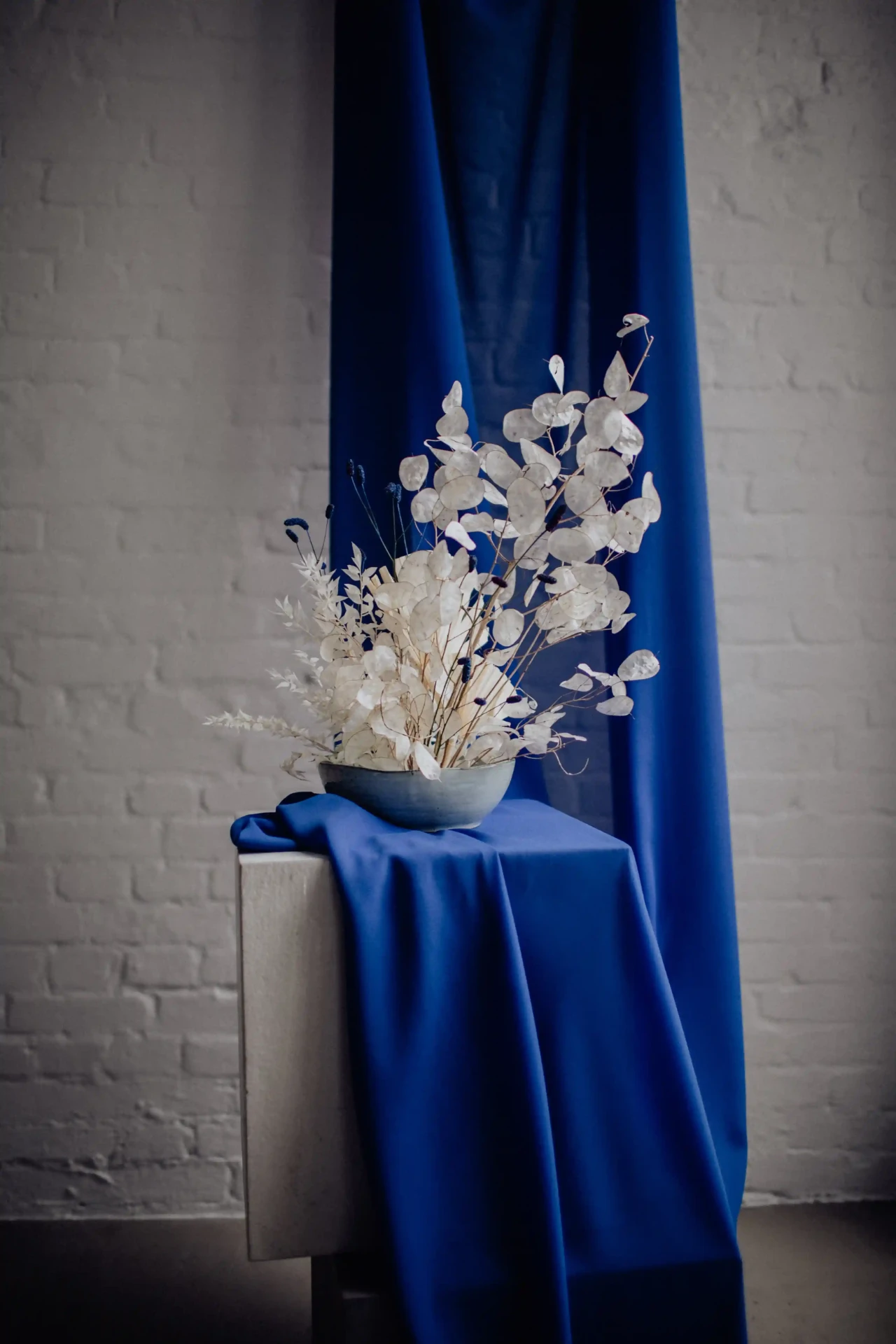 White floral arrangement in a tall vase in front of a blue curtain