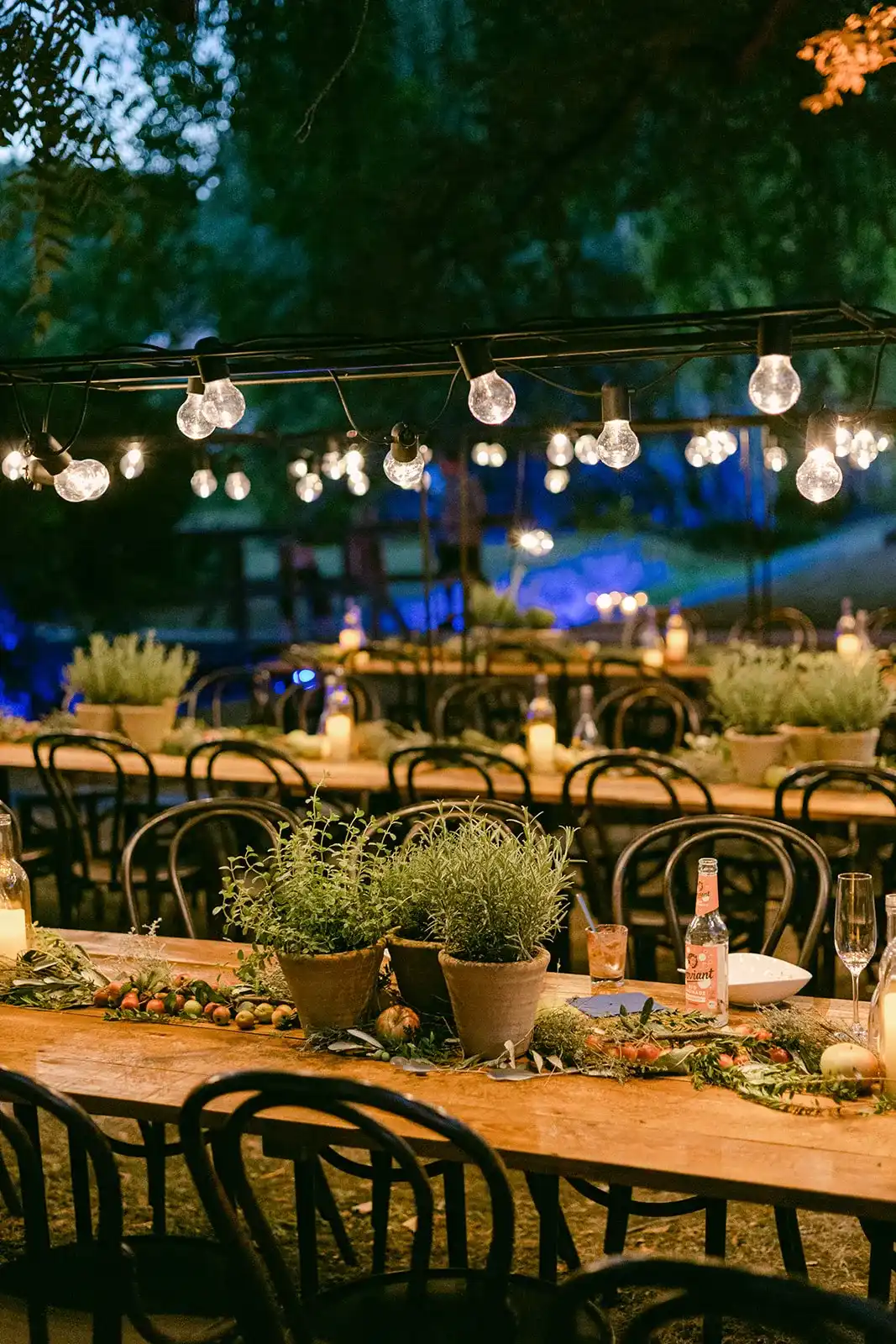 Long wedding table in a garden beneath string lights after dark