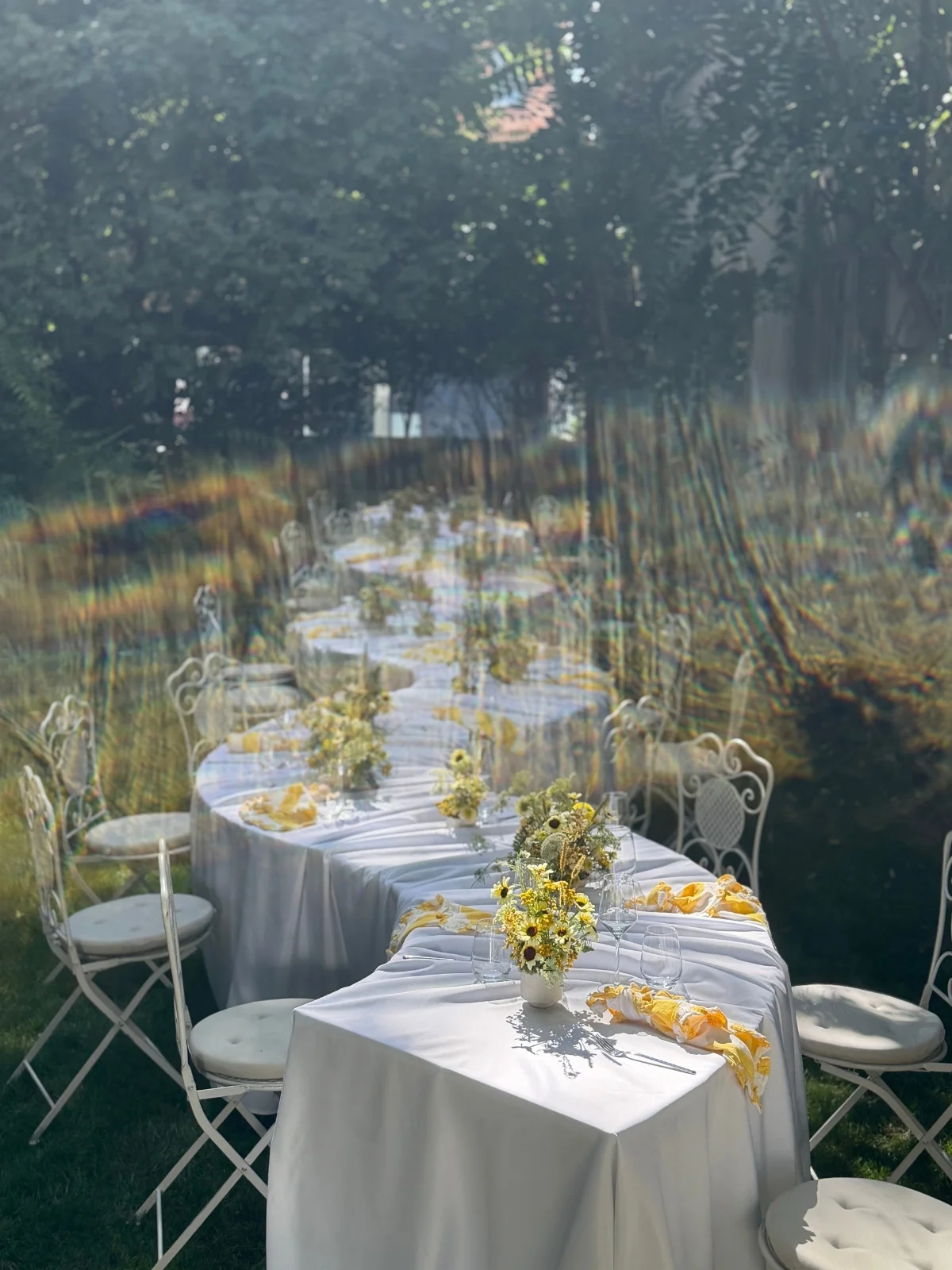 Lange Dinner-Tafel im Freien im weichen Abendlicht